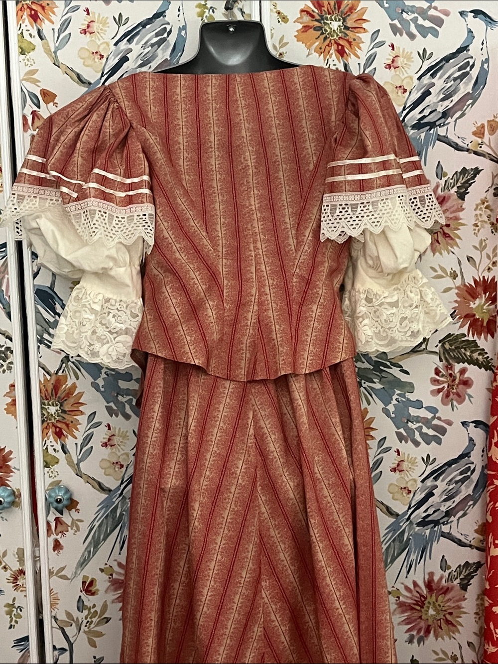 Recollections: Victorian-Inspired Striped Rust Dress with Lace Sleeves - Picture 5 of 8
